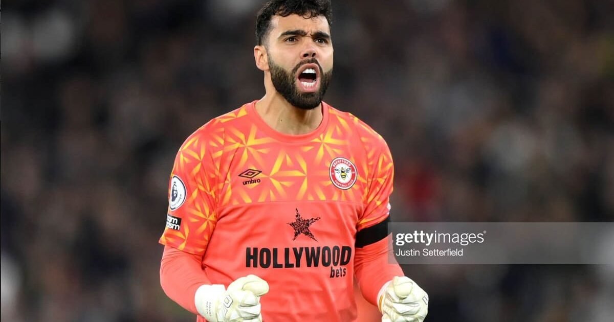 David Raya Kiper Asal Spanyol