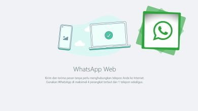 WhatsApp Bikin Chat Aman dan Asyik