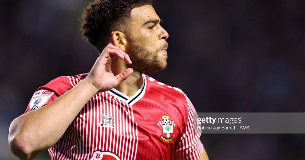 Che Adams Kembali Bersama Everton