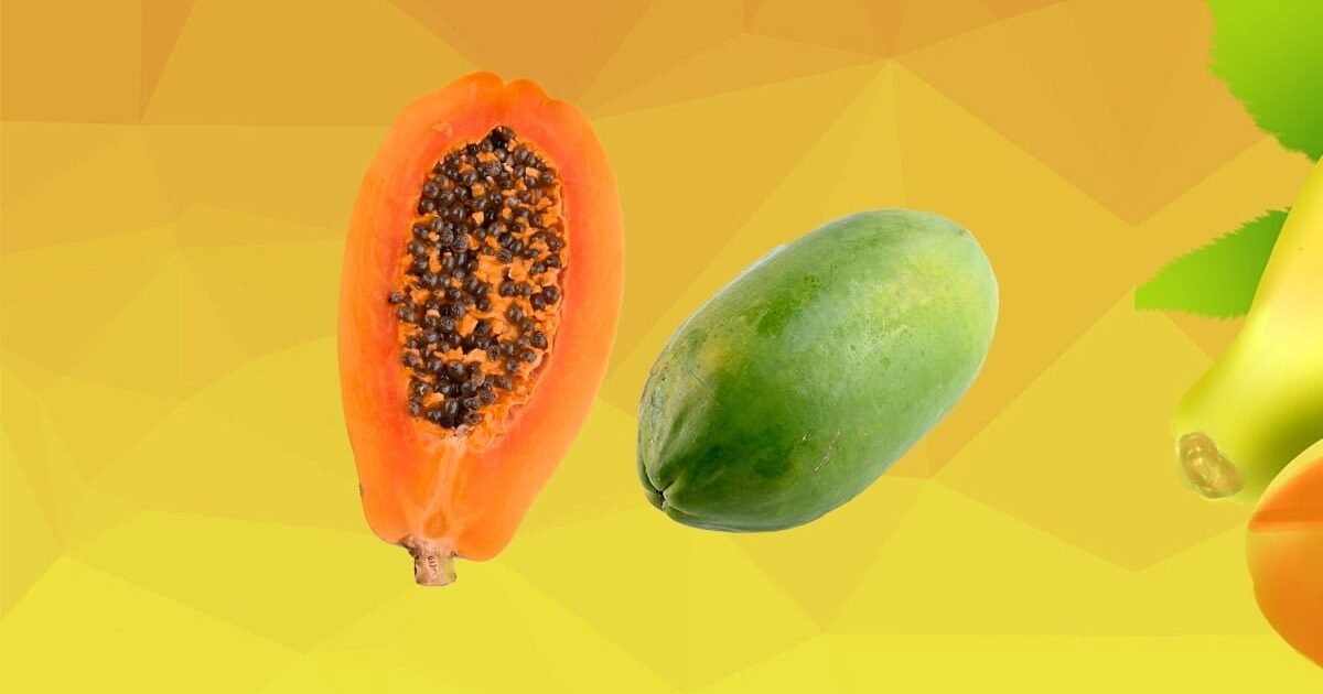 Pepaya Penurun Berat Badan