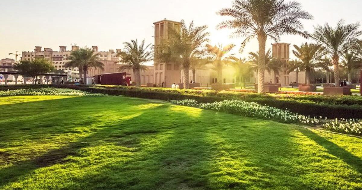 Bayi yang Lahir Membawa Jejak di Tanah Gurun