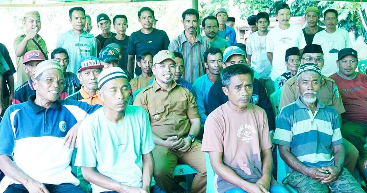 Bibit Jagung Bersemi di Paku Selatan