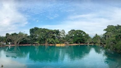 Danau LintingDanau Linting