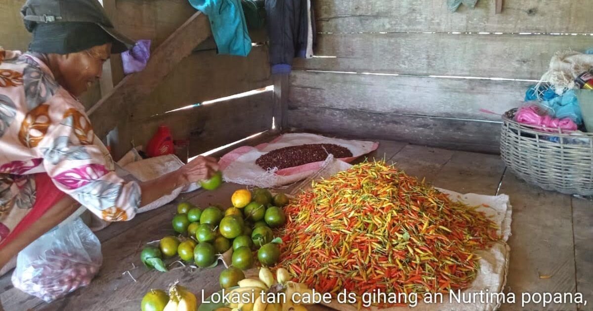 Kisah Nurtima Popana di Perbukitan Bolmut