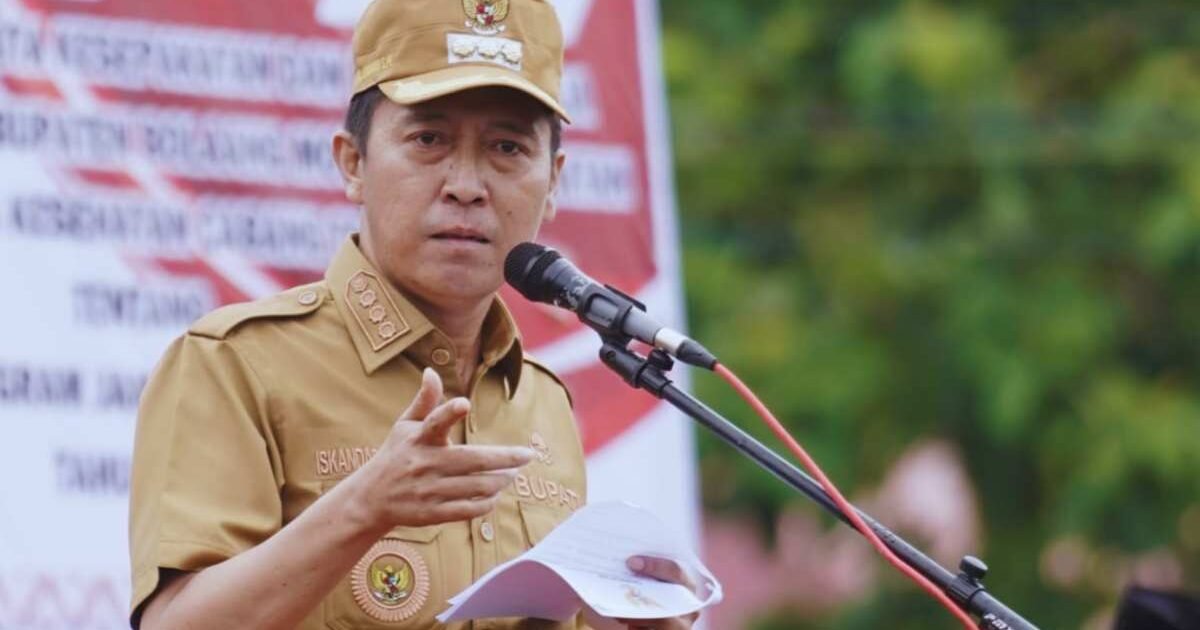 Iskandar Kamaru Maju di Pilkada 2024