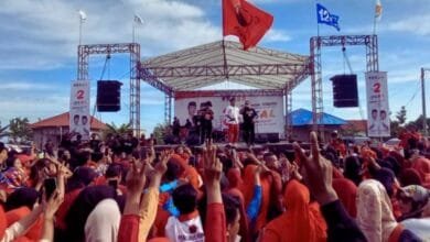 Iskandar Kamaru Kampanye Terbatas