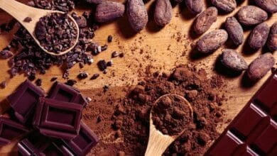 Manfaat Cokelat untuk Kesehatan