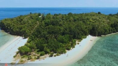 Pulau Busak