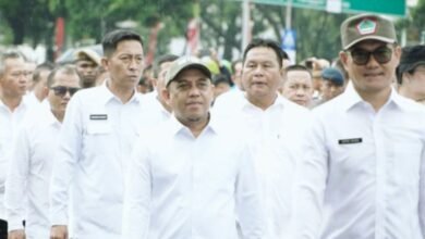 Iskandar Kamaru Menyambut Pelantikan di Istana Negara