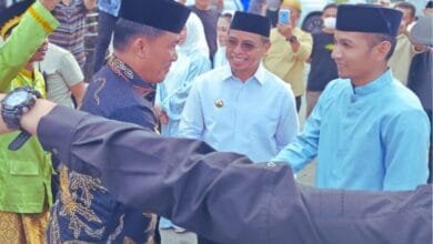 Baterai Baru bolmut