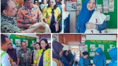 Kain Tenun Daun Nanas