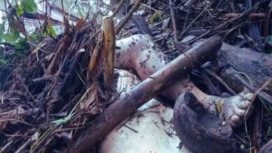 Penemuan Mayat Gegerkan Warga Bolmut