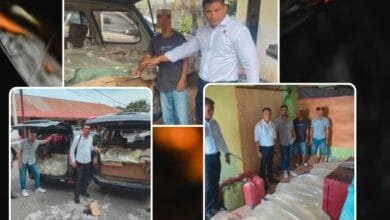 Penyelundupan Cap Tikus Ilegal