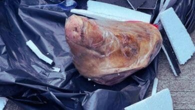 Teror kepala babi terhadap jurnalis