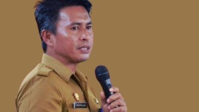 rekam jejak Tahlis Gallan