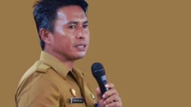 rekam jejak Tahlis Gallan