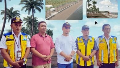 Proyek Pantai Pinagut Bolmut