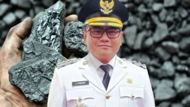 Tambang emas ilegal Buol