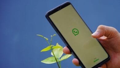 fitur username WhatsApp