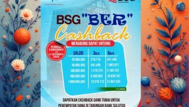 BSG “BER” Cashback