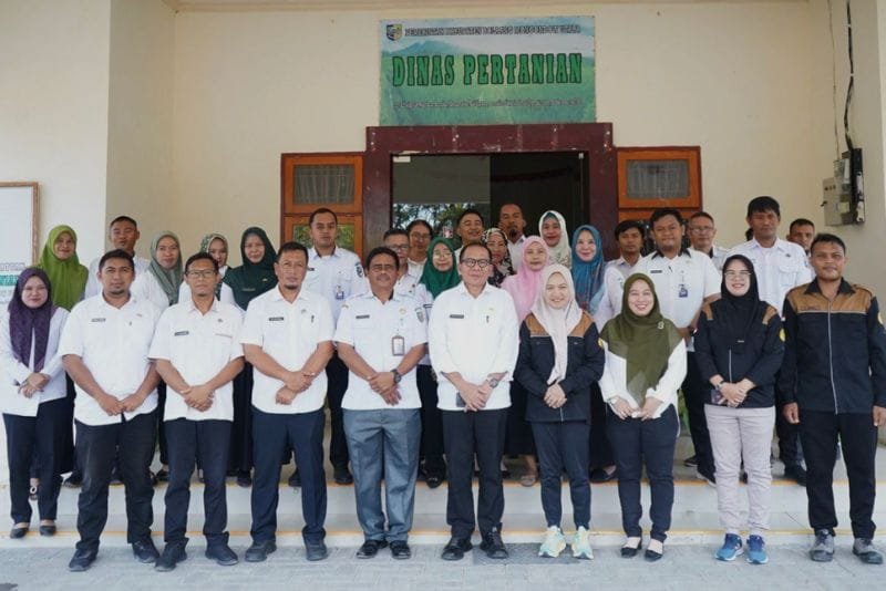 penyuluh pertanian Boltara