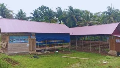 BUMDes Tunas Muda Kopi produksi telur