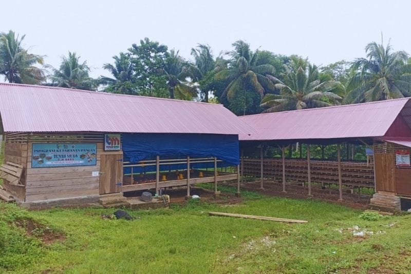 BUMDes Tunas Muda Kopi produksi telur