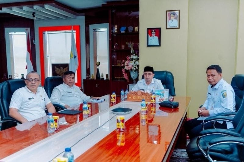 harga bawang putih Boltara