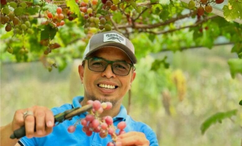 kebun anggur Sangkub Timur