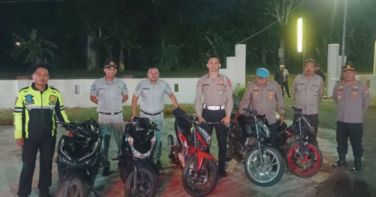 Blue Light Patrol Lolayan